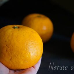 300年ほぼ変わらない姿 / Awajishima naruto Orange.