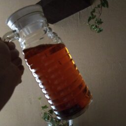 夏の水分補給アイテム　/　Rooibos tea