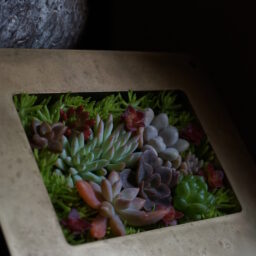 益々進化されてます