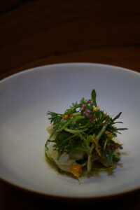 炙りイカサラダ