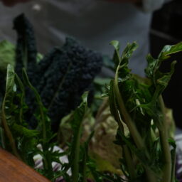 2026年2月23日（月）開催　週末パニーノ　23°