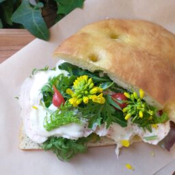 2026年4月12日（日）開催　週末パニーノ25°